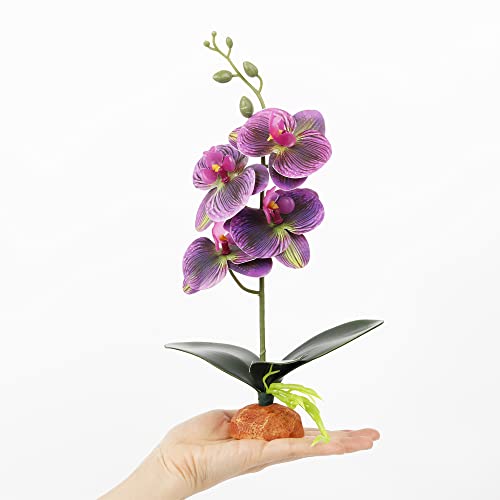 Fake Orchids Artificial Flowers, Reptile Terrarium Decor Plants, Bearded Dragon Tank Accessories fit Crested Gecko Leopard Lizard Chameleon Ball Python Snake Frog (Radiant) - color: Radiant