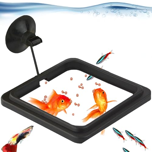 SunGrow Fish Food Feeding Ring, Stop Water Turbulence from Washing Food & Floating Plants into Filter, Suitable for Flakes & Floating Fish Pellets, for Goldfish, Guppy, Neon Tetra, Betta, 1 Piece - size: 1 Piece
