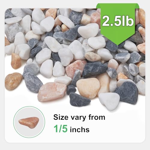 Pulovin 2.5 lbs Small Rocks for Plants, 1/5 Inch Pebbles for Indoor Plants, Natural Decorative Pea Gravel for Aquarium, Fish Tank, Terrarium, Succulents, Bamboo Plants, Vases, Cactus, Crafts - color: Mixed