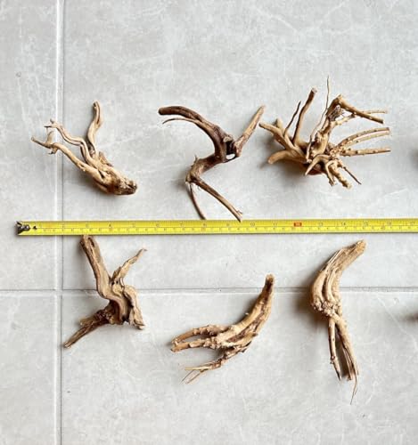 8pcs Natural Small Spiderwood Driftwood for Aquarium Decor Aquarium Driftwood Freshwater Reptile Driftwood Aquarium spiderwood (spiderwood 5-6inch 8pcs)