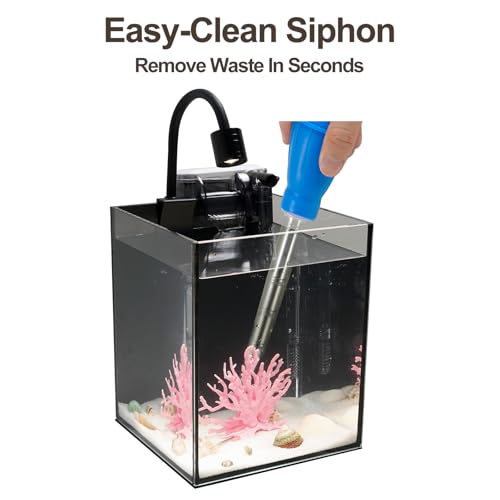 Desktop Aquarium Mini Tank Kit, 1.2 Gallon Rimless Cube with Filter, LED Spotlight, Black Background, Glass Construction, Pipette for Betta Fish, Guppies, Tetras