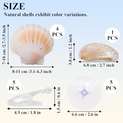 5 Pcs Betta Fish Bed Shell Hammock Betta Resting Spot with Suction Cups Natural Shell Hideouts & Spawning Grounds for Betta, Shrimp, Cichlid, Small Fish Tank Decorations