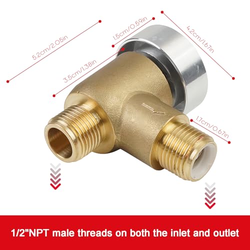 571-VAC-CHK-A Brass RV Vacuum Breaker – 1/2 DN Male - Works with RVs, Travel Trailers & Camper Vans, Ideal for Black Tank Water Systems, Brass Build