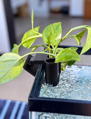 sogiv 3 Holes Aquatic Plant Cups, Hanging Aquarium Plant Holder, for Fish Tank Plants Potting, Aquascape Accessories Decorations, Black, 1 Pcs - color: Black, 1 Pcs