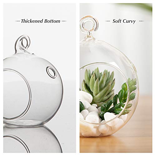 WGV Hanging Terrarium Globe, Width 5", Height 6", DIY Air Succulent Planter, Clear Glass Vase Orb with Flat Bottom, Candle Holder for Windowsill Outdoor Garden Decor, 6 Pieces Bulk - size: 5" Flat Bottom