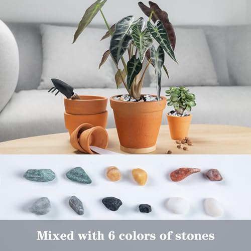 5lb Pea Silica Gravel Decorative Rocks, No Wax Pebbles Ideal for Fish Tank, Vases, Succulents, Home Decor and Garden Landscaping, Countryside Silica Gravel - color: Countryside No Wax, size: 5LB