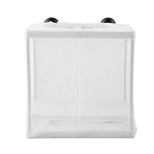 Incubator Breeder Aquarium Fish Aquarium Fish Breeding Box, Isolation Mesh Box, Fish Breeding Incubator Multifunctional for Fish