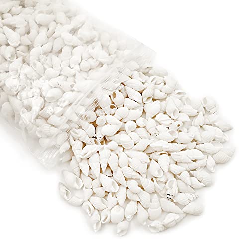 White Clam Cay Cay Sea Shells for Home Decorations, Party Wedding, DIY Crafts (About 350pcs Spiral Shape) - color: About 350pcs spiral shape