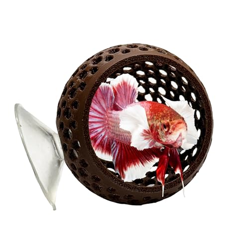 CTWPets Natural Betta Bulb Hide | Betta Rest Fish Tank Ornament | Aquarium Cave with Suction Cup for Small Fish Tank, Betta Habitat, Shrimp Hideout, Aquatic Decor (Dark Brown) - color: Dark Brown