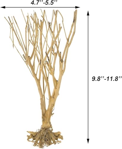 Natural Aquarium Tree Driftwood Aquarium Decor Fish Tank Decoration for Fish Shrimp (1)