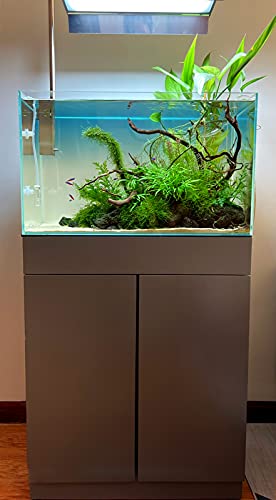 Allcolor Artisan Grade Ultra Clear Rimless Aquarium Tank, Low Iron Glass Fish Tank for Professional Aquascaping and Planted Layouts, 6-60 Gallons (21Gal - Top Glass Canopy) - size: 21Gal 23.6"L×13.7"W×14.9"H
