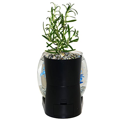 Elive Betta Fish Bowl / Betta Fish Tank with Planter, Small 0.75 Gallon Aquarium, LED Light Timer, Black