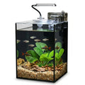 2.2 Gallon Small Aquarium Set Glass Fish Tank,Desktop Small Aquarium Kit for Beginners and Children to Keep Betta Fish, Goldfish, Shrimp, and Aquatic Plants (Black, 2.2 Gallon (Complete Kit)) - size: 2.2 Gallon (Complete Kit)