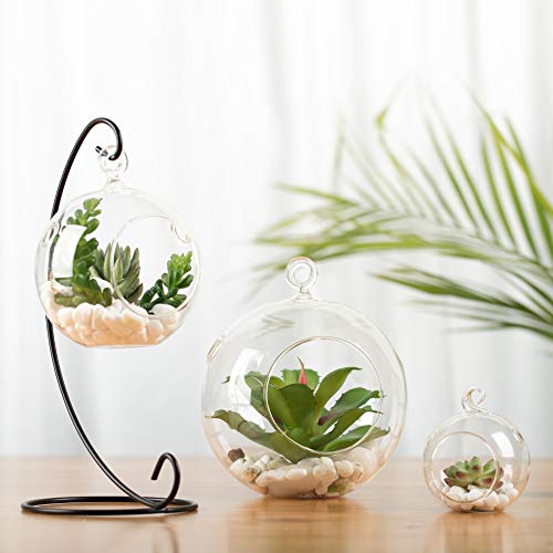 WGV Hanging Terrarium Globe, Width 2.5", Height 3", DIY Air Succulent Planter, Clear Glass Vase Orb with Flat Bottom, Candle Holder for Windowsill Outdoor Garden Decor, 6 Pieces Bulk - size: 2.5" Flat Bottom