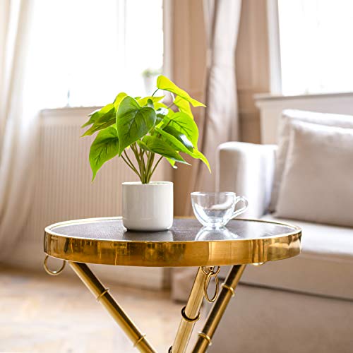Mkono Fake Plants in Ceramic Pot, 11" Potted Artificial Plants for Home Decor Indoor Faux Green Leaf Plant with Modern White Planter for Desk Shelf Office Room Decoration (Pothos) - color: White, size: Small