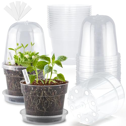 BTPLASTIK 6 Inch Clear Nursery Pots with Humidity Domes 15 Pack, Transparent Plastic Plant Pot with Drainage Holes and Saucers, Seed Starter Pots with 15 Pcs Plant Labels and 15 Pcs Soil Screens - size: 6Inch-15P-with Humidity Domes