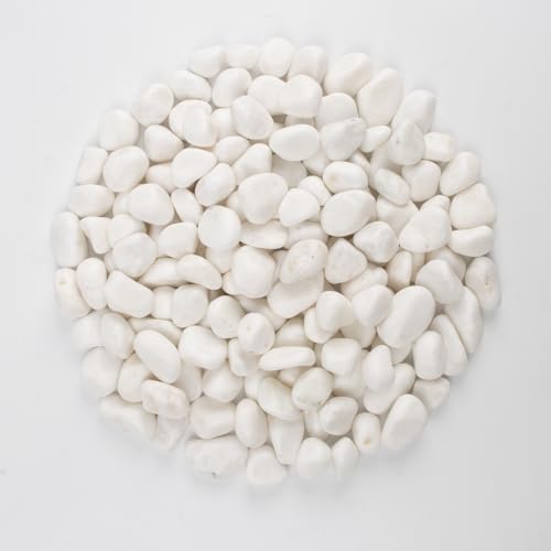 40 lbs White Polished Landscape Stones, 0.5-1 Inch Decorative Rocks for Gardens, Pathways, Pots, Vase Fillers, Aquarium Decoration, Glass Containers, and Yard Borde (Pure White, Weight: 40 LB) - color: Pure White, size: Weight: 40 LB