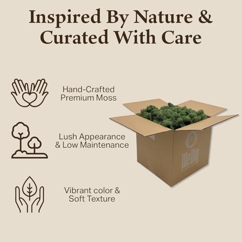 Preserved Reindeer Moss - Moss for Crafts, Home Decor, Art, Design & DIY Projects - Non-Toxic - USA Made (Basil, Standard Box) - color: Basil, size: Box