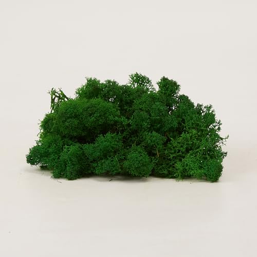 Preserved Reindeer Moss Natural Green DIY Kit Gardenning Art Wall Decor Florist Decor Easter Table Decor Wedding - color: Green-14, size: 0.85 lb