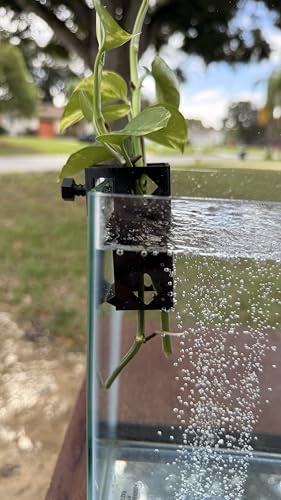Aquarium Plant Holder for Standard Rimless Fish Tanks The Cage 3D Printed - Pothos Holder - Stemmed Plant Holder