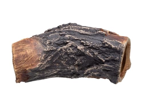 Plecoceramics Aquarium Cave - Ceramic Betta Fish Tank Decor - Natural Aquarium Decor - Large Reptile Hide - Fish cave Hideout - Snake Hide - Cave for Cichlids and plecos (Tree Lodge)