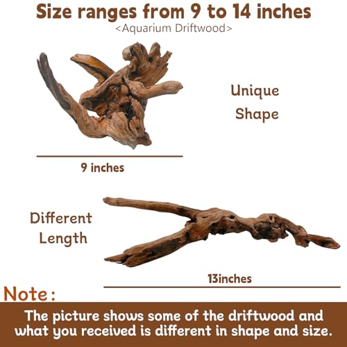 Tfwadmx Natural Driftwood for Aquarium Decor-9-14 Assorted Large Driftwood,Fish Tank Drift Wood Decoration, Freshwater Wood Branches Ornament for Reptile Terrarium,Air Plants - size: X-Large: 11-17"（1Pcs）