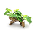 Aquarium Decor, Resin Wood Ornament with Silk Leaves for Betta Fish Tank, Driftwood for Aquarium Landscape Accessories, Reptiles Tank