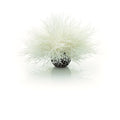 Sea Lily White - color: White, size: 1 Count (Pack of 1)