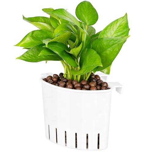 Borlech 2026 Latest Model Large Aquarium Corner Planter Hanging Plant Holder for Fish Tank Aquaponic Plant Cultivation and Aquascape Accessories Decorations (1 Pack) White - color: White-1 Pack