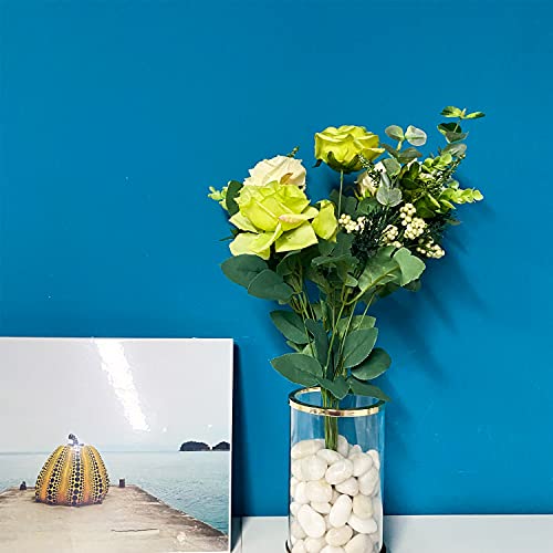 5lbs White Pebbles for Indoor Plants, 0.8-1.2 Inch Smooth White River Rocks for Potted Plants, Decorative Polished Stones for Landscaping Vase Fish Tank and Outdoor Garden Pavers - size: 0.8-1.2 Inch, style: 5 Pounds