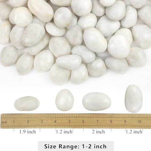 YISZM 2lbs White River Rocks, 1-2 Inch Natural Pebbles for Indoor Plants, High Polished Decorative Stones Vase Filler Fish Tank Aquariums Landscaping Garden Outdoor and Indoor DIY - color: White, size: 2 Pounds