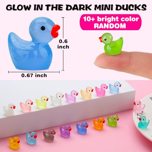 GWAHSA 240pcs Luminous Mini Resin Ducks, Tiny Animals Bulk Glow in The Dark Small Plastic Miniature Ducks Figures for Dollhouse Decor Micro Garden Home Landscape Aquarium Craft Gifts Party Favors Toys - style: Luminous Ducks
