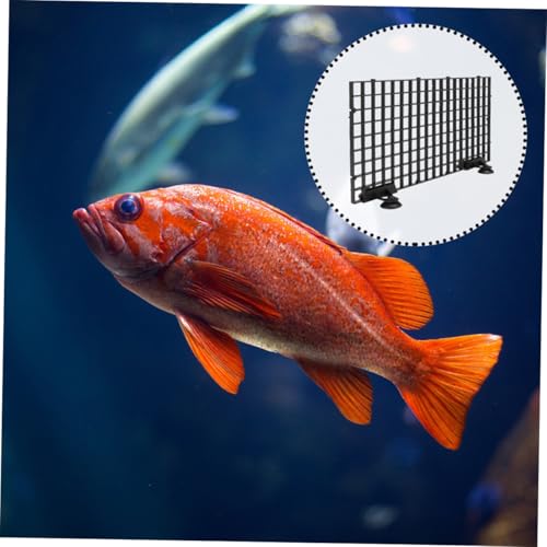 Happyyami 1set Aquarium Bottom Divider Plate Fish Tank Separator Tray Strong Bearing Capacity Isolation Board for Water Cycle