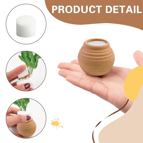 4 Pack Aquatic Plants Fixed Ring Set, Anti-Floating Ceramic Planter for Fixing Water Plants, Aquarium Decoration Fish Tank Accessories Landscaping Ornaments, Red - color: Red