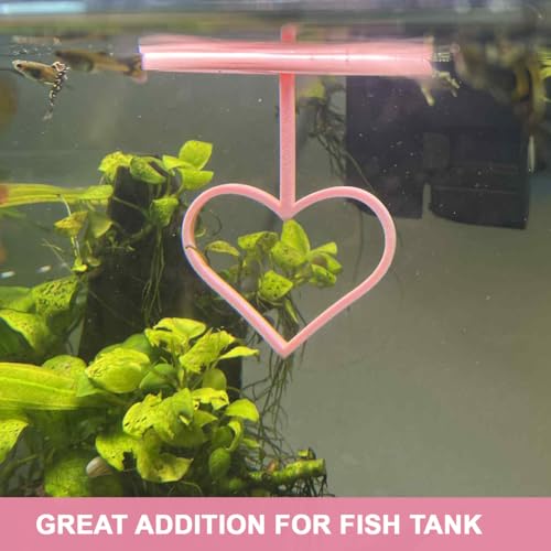 Floating Heart Betta Training Ring, Heart Active Betta Training Ring, Floating Feeder, Enrichment Toys for Aquarium Decor, Pink, 3.8in x 3.7in (Pink, Pack of 2) - color: Pink, size: Pack of 2