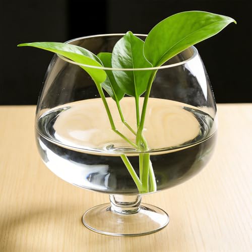 UKCOCO Elegant Glass Fish Bowl: Multi-Functional Betta Fish Tank, Desktop Goldfish Aquarium - Clear Glass Vase for Home Office Decor, 7.47 Inch