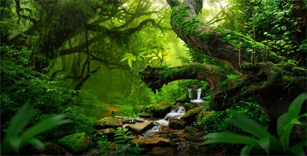 72X18IN Tropical Forest Green Huge Tree Reptile Habitat Aquarium Background, Green Natural Landscape Rainforest Fish Tank Decorations Background, Nature Art Terrarium Background - size: 72X18in/180X45cm