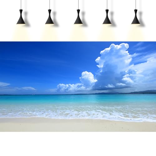 Tropical Beach Aquarium Background Ocean Sea Sandbeach Fish Tank Background Ocean Seascape Terrarium Backgrounds Sunny Blue Sky Clouds Seacoast Ocean Sea Waves Reptile Tank Backgrounds 24x12in - color: Blue, size: 24(W)x12(H)inches/ 60(W)*30cm(H)