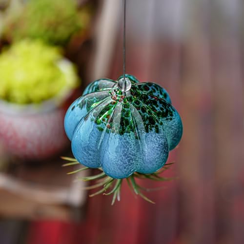 H&D HYALINE & DORA Handmade Blown Glass Hanging Jellyfish Air Planter for Live Succulent Air Plants (No Plants) - color: Jellyfish-sea Blue