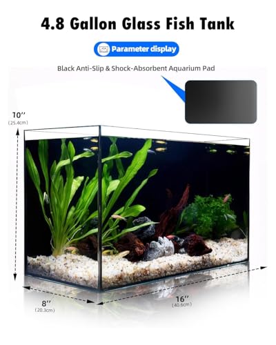 5 Gallon Fish Tank 4.8 Gallon, Small Aquarium Fish Bowl Ultra Clear Rimless Design for Betta Goldfish Snails Shrimp Aquatic Planting - color: Black, size: 4.8 Gallon