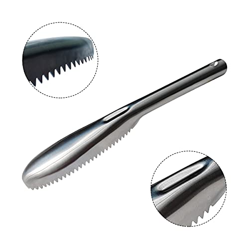 Fish Scaler, 304 Stainless Steel Fish Scaler Remover, Sawtooth Fish Descaler Tool for Family Kitchen, Seafood Markets