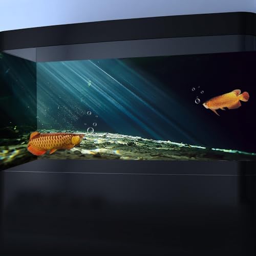 24X16 Inches Fish Tank Aquarium Background, 3D Black Sunshine Underwater World Background Decor, Undersea Theme Durable Polyester Background with 8 EVA Double-Sided Tapes - size: 24X16in/60X40cm