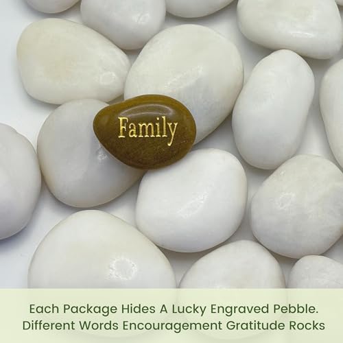 10 lbs White River Rocks, Polished Pebbles for Indoor Plants, 1-2 inch Decorative White Stones for Plants Vase Aquarium Fish Tank and Outdoor Garden Landscaping Rocks