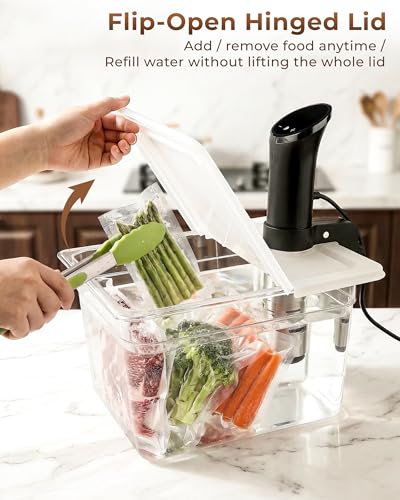 EVERIE Sous Vide Container 12 Quart EVC-12 with Collapsible Hinged Lid Compatible with Anova Nano or AN500-US00 or Anova Pro 3.0 or Anova Mini, Also Fits Instant Pot - color: Container with plastic lid