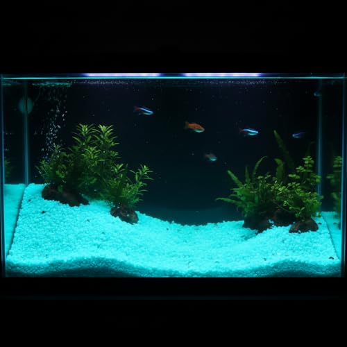 Shiny Stone Glow in The Dark Aquarium Neon Gravel Sand, Decorative Rocks for Fish Tank and Fairy Garden, Home Dec,305g/0.67lbs (Aqua, 3-5mm)