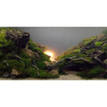 AWERT River Bed & Lake Aquarium Background Sunshine Aquatic Plant Fish Tank Background Vinyl 36x24 inches - size: 36x24in/90x60cm