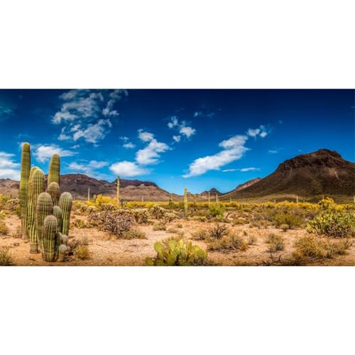 AWERT 48x18 inches Reptile Habitat Background Blue Sky Oasis Cactus Desert Terrarium Background Vinyl - size: 48x18in/120x45cm