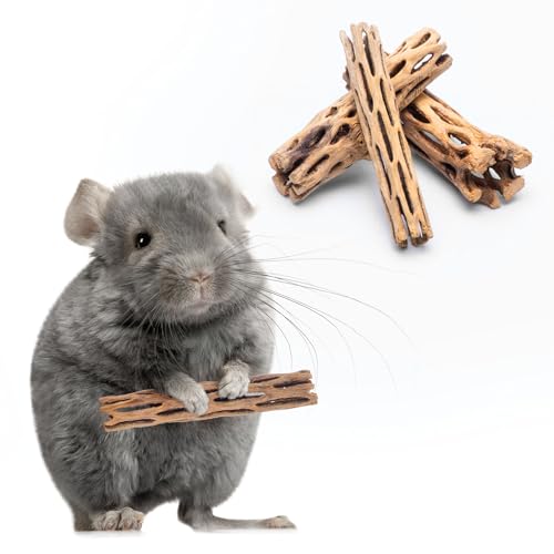 SubstrateSource Natural Cholla Wood - Driftwood for Aquariums, Air Plant Base, Hermit Crab and Freshwater Shrimp Hideout, Fish Tank Decoration, Chinchilla Chews, Reptile Habitat Wood - 4 Inch, 3pc - size: 4 Inch (Pack of 3)