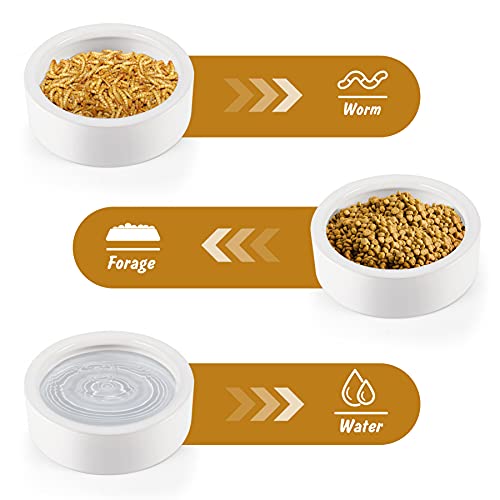 Reptile Food Dish Bowl, Worm Water Dish Small (2.75in) Lizard Gecko Ceramic Pet Bowls, Mealworms Bowls for Leopard Bearded Dragon Chameleon Hermit Crab Dubia Cricket Anti-Escape Mini Superworm Feeder - color: Orange, size: Small-1Pack