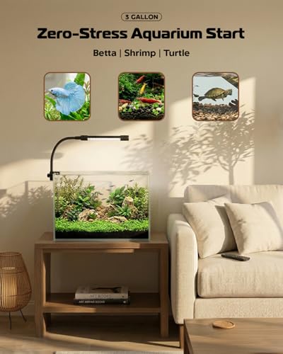 Glass Fish Tank Kit, 3 Gallon Betta Fish Tank Aquarium Starter Kit with Filter, Lights, Lid, for Betta, Goldfish, Small Fish or shrimg，Clear - color: Transparent, size: 3 Gallon